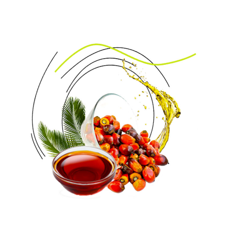 Shortenings Palm oil