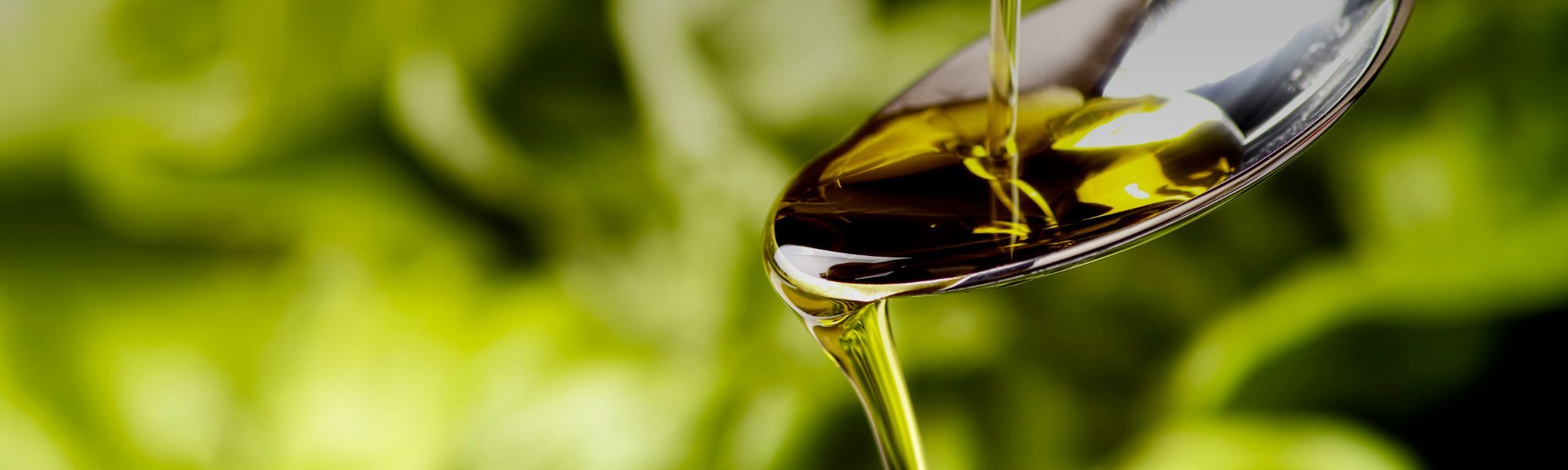 La gamme d'huiles d'olive Jadida Med Oil Company